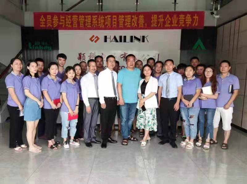 東莞穎科電子有限公司“卓越運(yùn)營”項目案例